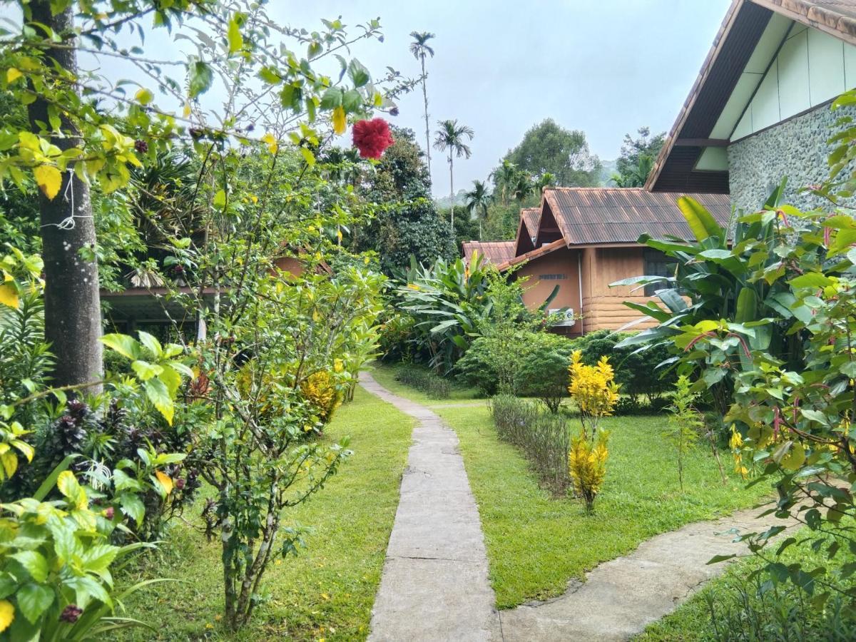 Khao sok river&jungle resort Khao Sok National Park Luaran gambar