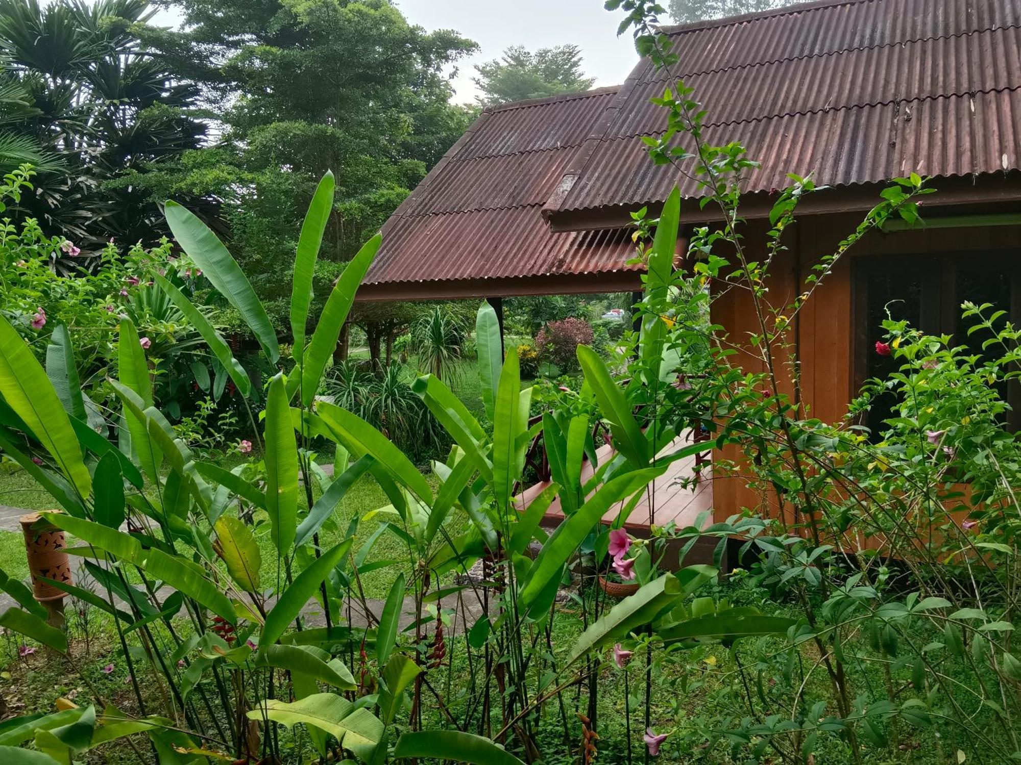 Khao sok river&jungle resort Khao Sok National Park Bilik gambar